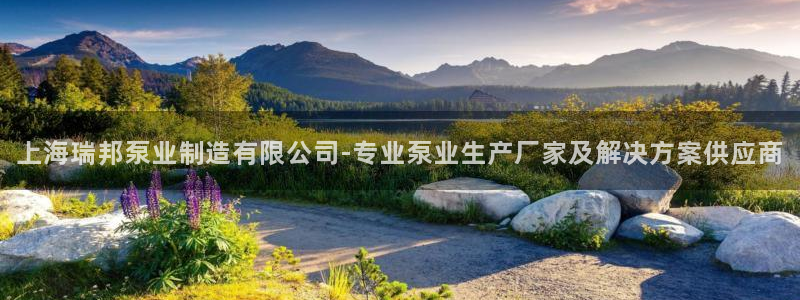 彩神8官网500：上海瑞邦泵业制造有限公司-专业泵业生产厂家及解决方案供应商