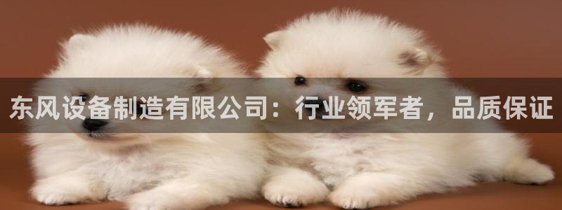 彩神vll趣投彩：东风设备制造有限公司：行业领军者，品质保证