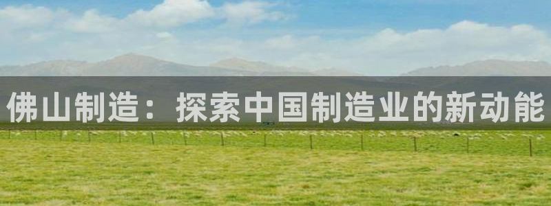 新版彩神v8登录：佛山制造：探索中国制造业的新动能