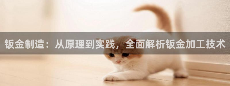彩神V8有限公司：钣金制造：从原理到实践，全面解析钣金加工技术