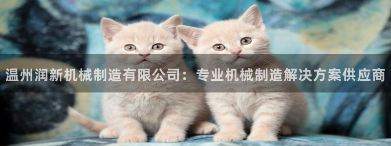 彩神8彩平台官网：温州润新机械制造有限公司：专业机械制造解决