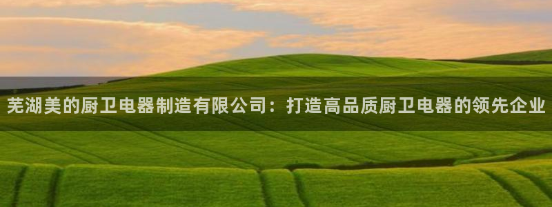 彩神官方邀请码是多少：芜湖美的厨卫电器制造有限公司：打造高品质厨卫电器的领先企业