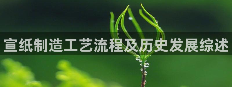 彩神vip购彩大厅：宣纸制造工艺流程及历史发展综述