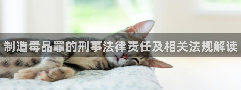 彩神v8客户端