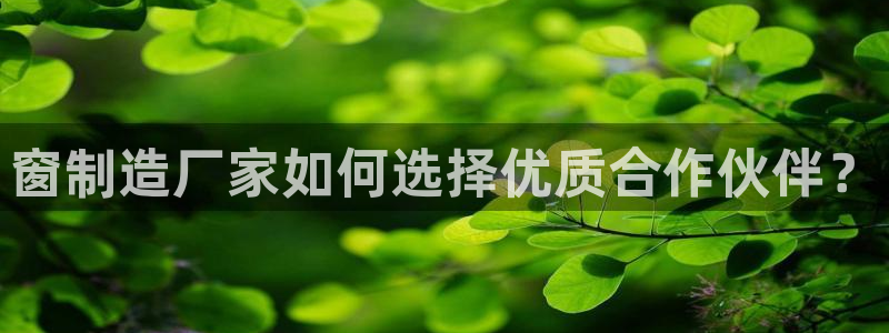 彩神v8首页
