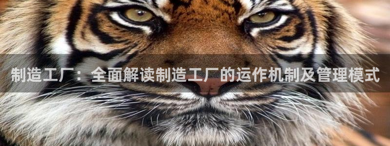 彩神赢的钱是哪里来的