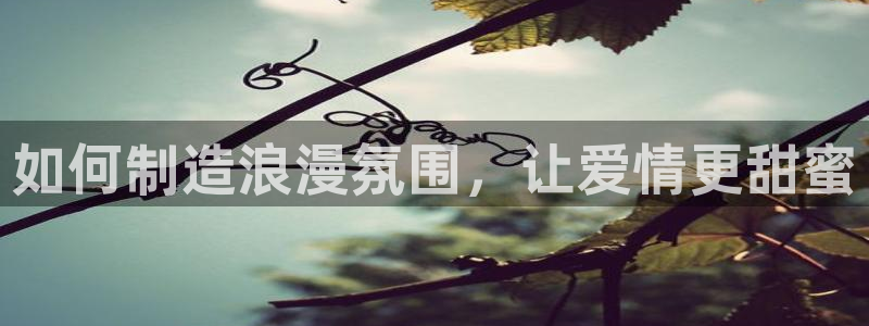 彩神ii官方网