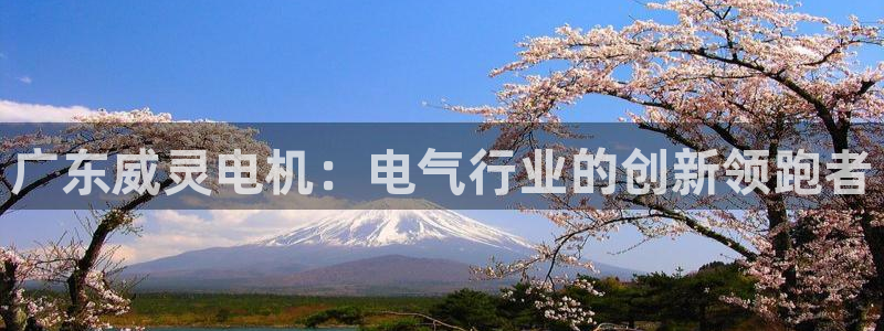 彩神vii官网大赢家