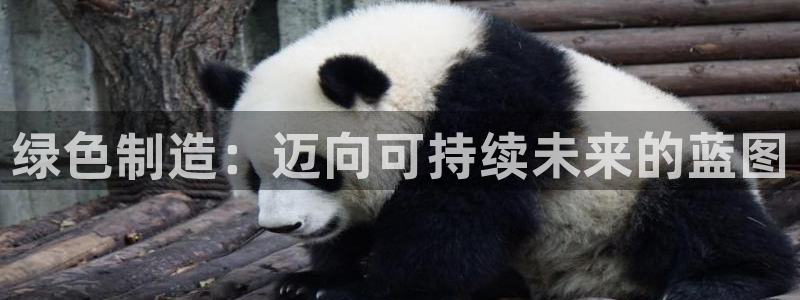 彩神v争霸是啥