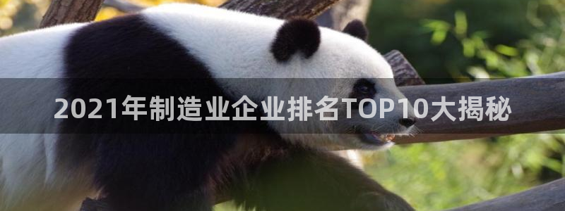 彩神网官网登录