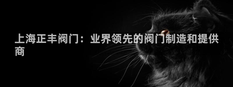 彩神是正规平台吗安全吗