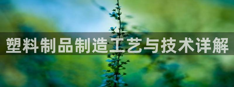 彩神Vll购彩大厅