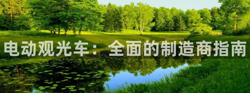 彩神V集团有限公司：电动观光车：全面的制造商指南