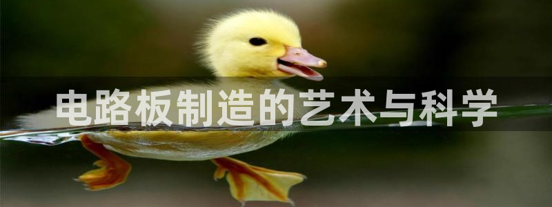 下载彩神通关注金码