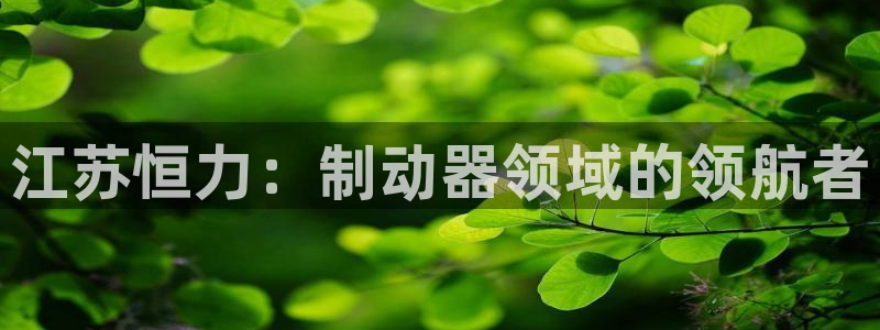 彩神vlll官方网