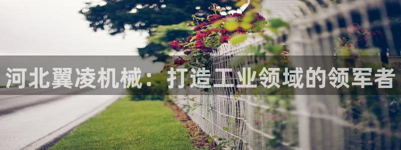 彩神用户登录