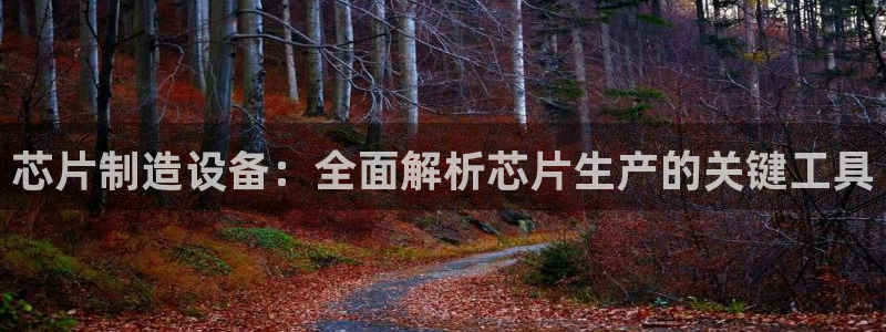 彩神VII购彩中心