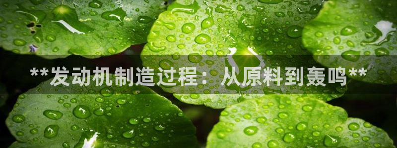 彩神iv争霸购彩大厅