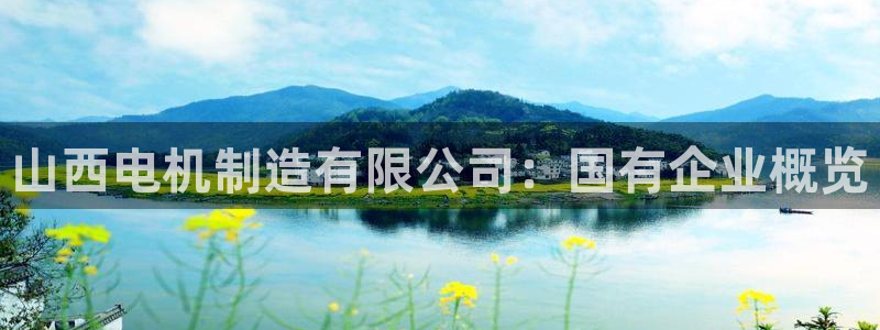彩神V集团有限公司
