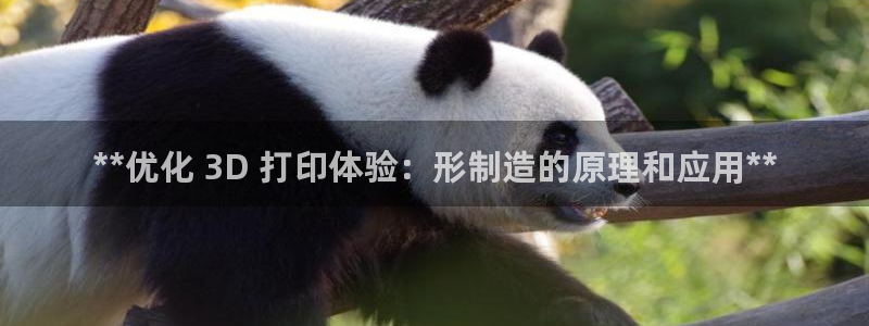 彩神V集团有限公司