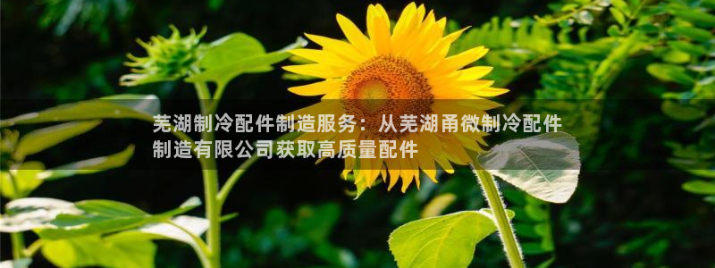 彩神争霸官方下载：芜湖制冷配件制造服务：从芜湖甬微制冷配件
制造有限公司获取高质量配件