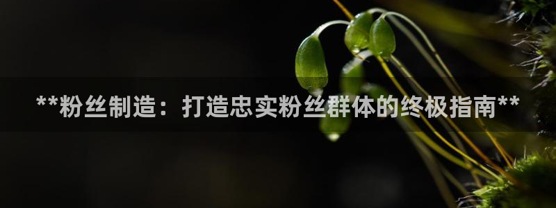 彩神购彩-购彩大厅入口500：**粉丝制造：打造忠实粉丝群体的终极指南**