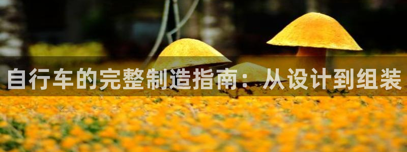彩神平台是什么套路