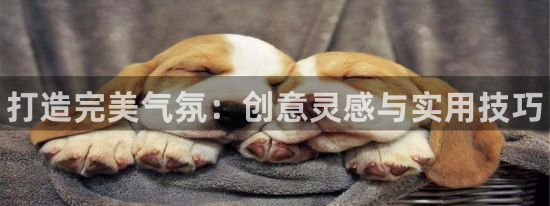 彩神vll首页企业文化：打造完美气氛：创意灵感与实用技巧