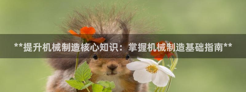 彩神V购彩大厅