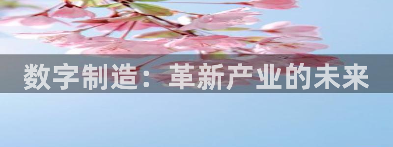 彩神vip购彩大厅