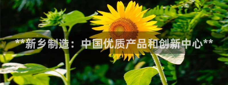 彩神正规吗：**新乡制造：中国优质产品和创新中心**