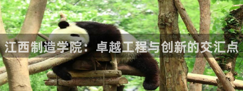 彩神v争霸是啥：江西制造学院：卓越工程与创新的交汇点