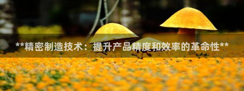 彩神v8是一个什么平台：**精密制造技术：提升产品精度和效率