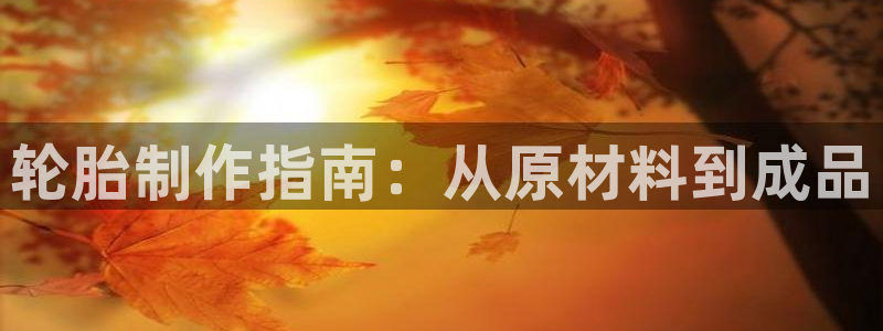 有谁知道彩神争霸的网址：轮胎制作指南：从原材料到成品