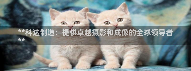彩神iv真的能赚钱吗：**科达制造：提供卓越摄影和成像的全球领导者
**