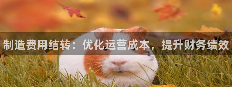 彩神赢钱了吗：制造费用结转：优化运营成本，提升财务绩效