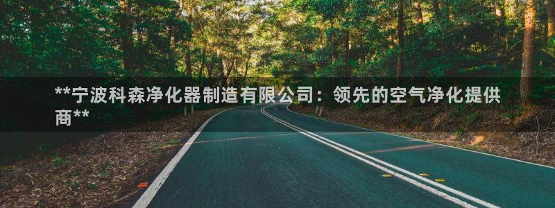 彩神v8iii：**宁波科森净化器制造有限公司：领先的空气净化提供
商**