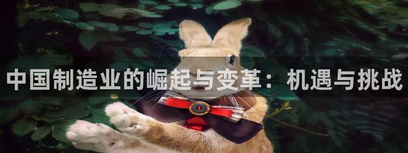 彩神v8是一个什么平台游戏：中国制造业的崛起与变革：机遇与挑战