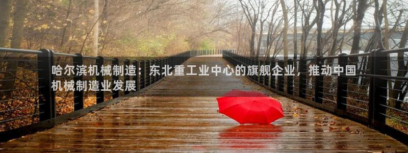 彩神ix官网是哪个公司的：哈尔滨机械制造：东北重工业中心的旗舰企业，推动中国
机械制造业发展