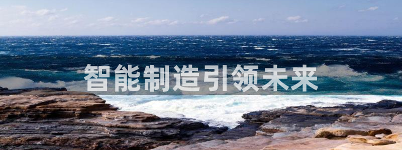 彩神V8有限公司：智能制造引领未来