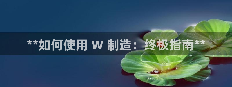 彩神viii下载安卓：**如何使用 W 制造：终极指南**