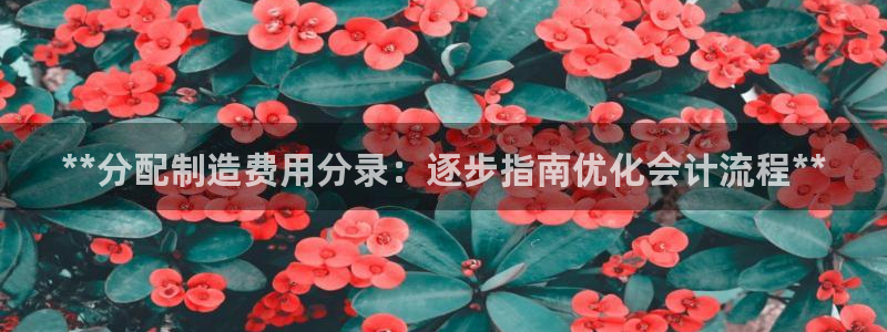 所有彩神购买首页都一样吗：**分配制造费用分录：逐步指南优化会计流程**