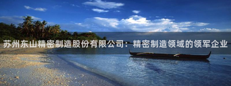 彩神iv真的能赚钱吗：苏州东山精密制造股份有限公司：精密制造领域的领军企业