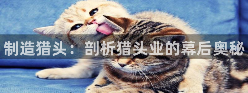 彩神通官网下载：制造猎头：剖析猎头业的幕后奥秘