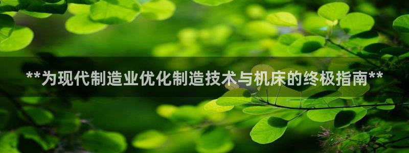 彩神购彩-购彩大厅入口老版：**为现代制造业优化制造技术与机床的终极指南**