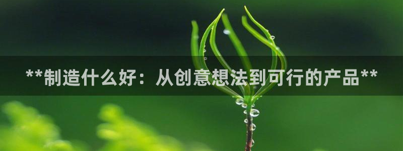 彩神大发cp：**制造什么好：从创意想法到可行的产品**