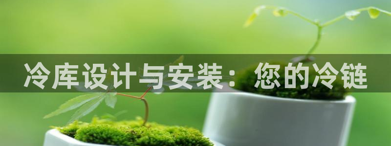 彩神v8平台正规吗知乎
