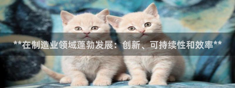 彩神v8手机客户端下载：**在制造业领域蓬勃发展：创新、可持续性和效率**