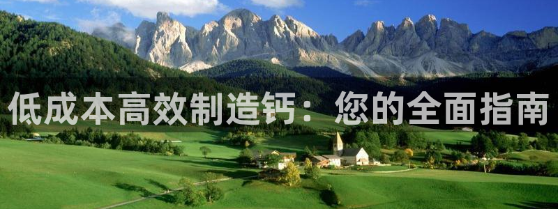 彩神大发三期计划网站：低成本高效制造钙：您的全面指南