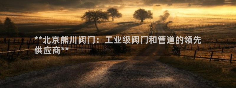 彩神大发云：**北京熊川阀门：工业级阀门和管道的领先
供应商**